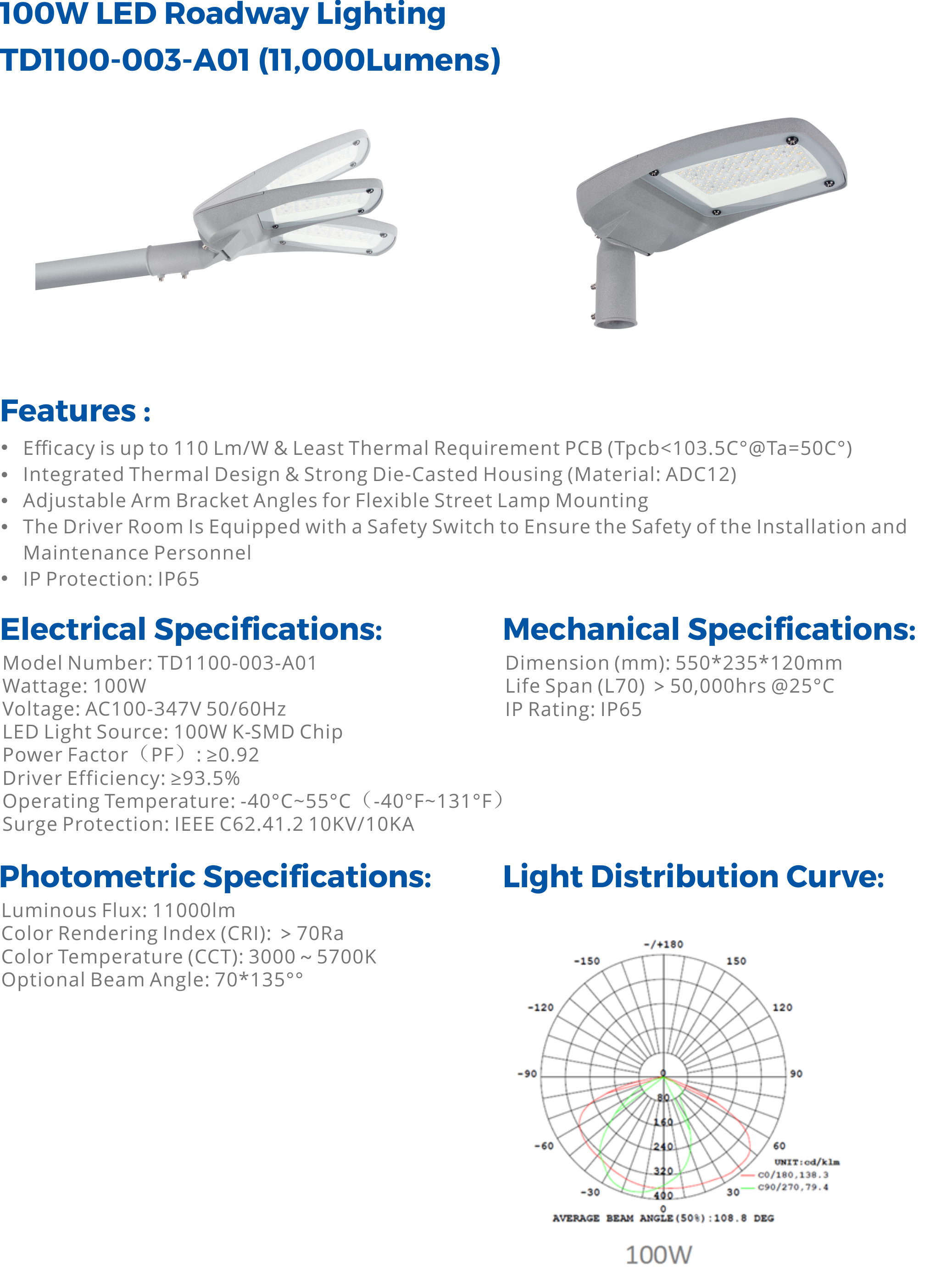 100W LED Roadway Lighting - TD1100-003-A01-1.png